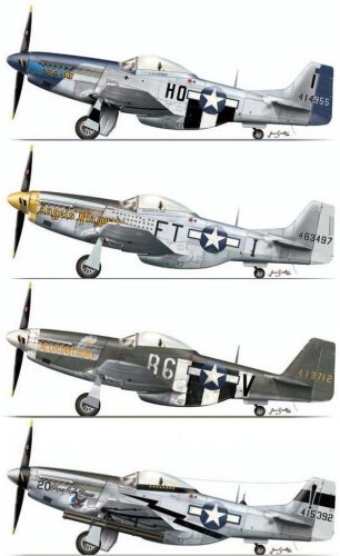 P-51D Mustang … | Vintage aircraft, Aircraft, Wwii fighter planes