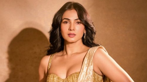 Jannat star Sonal Chauhan opens up on her viral moment during IPL 2025: 'It was absolutely not expected...'