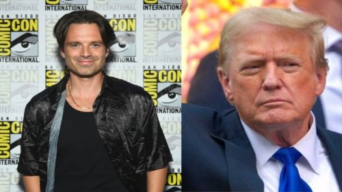 Sebastian Stan Reacts to ‘Narcissist’ Donald Trump's Criticism of The Apprentice: 'Put Money Down He's Seen It...'