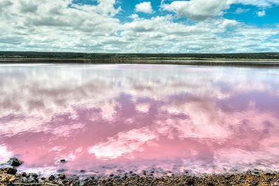 12 Best Pink Lakes in the World: Cotton Candy in Liquid Form