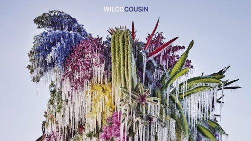 Wilco: Cousin