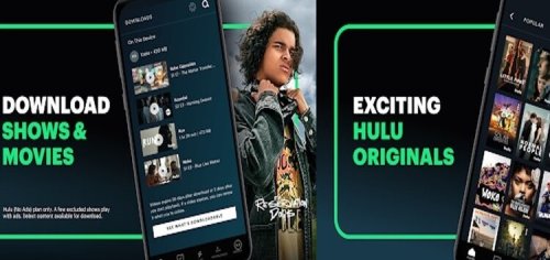 [Updated] Hulu audio not working on iPad app after iPadOS 15.4.1 update