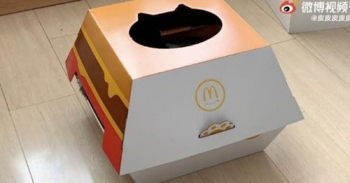 McDonald's offre des niches pour chats en forme de boîtes à burger !