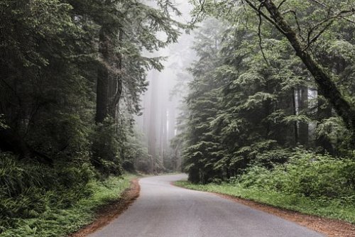 The Best Cities To Visit In The West Coast And Things To Enjoy There