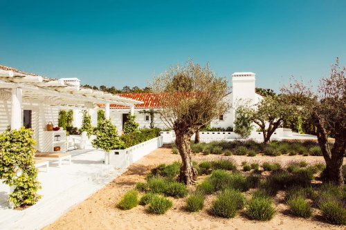 Une maison blanche entourée d'oliviers près des plages de l'Atlantique