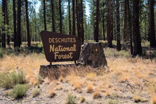 Feds Clear Homeless Encampment in Oregon Forest