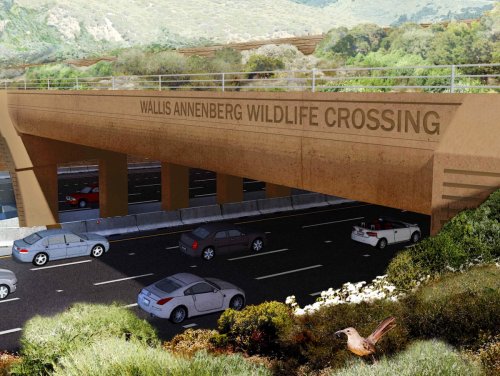 World's Largest Wildlife Overpass In the Works in Los Angeles County