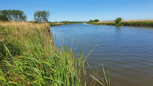 #GetWaterWise: Extra care needed when swimming in East Anglia