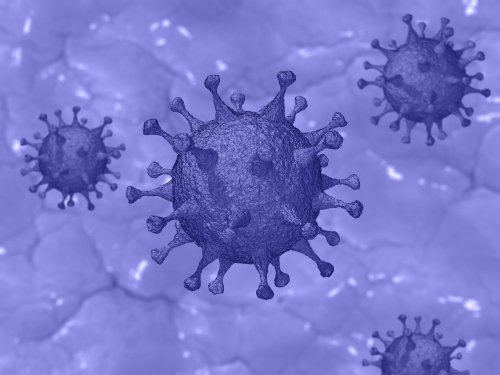No coronavirus deaths recorded in Tendring for three weeks