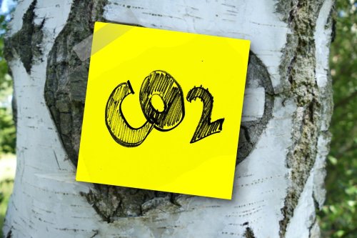 Plans to reduce Cambridgeshire's carbon footprint more quickly