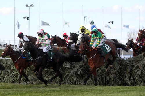 BHA gives green light to 2024 fixture list shake-up | Flipboard