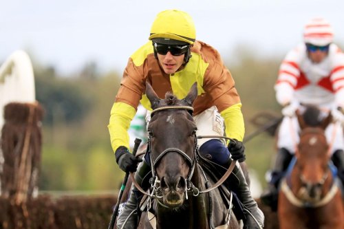 Galopin Des Champs crowned the leading jumps horse