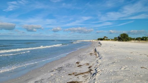 14 Top-Rated Things to Do in Dunedin, FL | PlanetWare