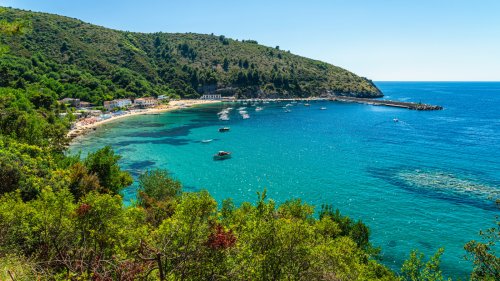 Budget Friendly - cover