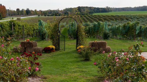 Goodbye Napa Valley, So Long Sonoma County: A New Midwest Wine Hotspot Is Booming