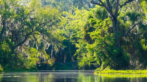 Between Orlando And Gainesville, This Florida State Park Offers Beautiful Natural Springs