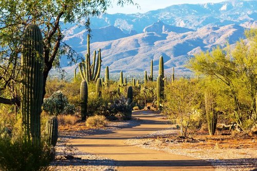 Places You Can't Miss in Tucson Arizona