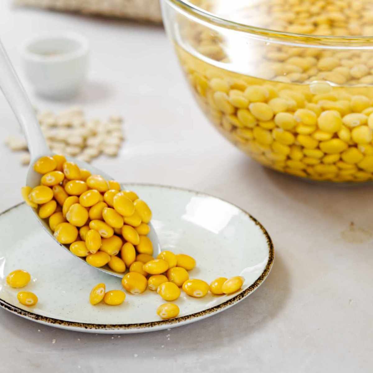 Lupini Beans Recipe (Lebanese Termos)