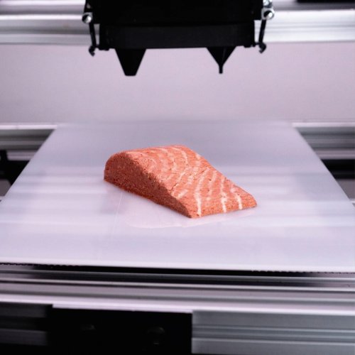 You Can Now Buy The ‘World’s First’ 3D Printed Vegan Salmon Filet