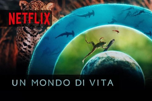 Un mondo di vita Netflix un approfondimento sull’interconnessione della vita sul nostro pianeta