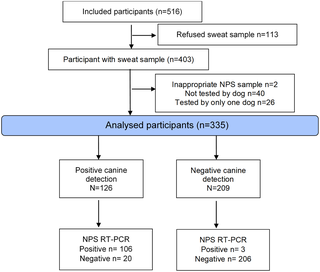 Diagnostic accuracy of non-invasive detection of SARS-CoV-2 infection by canine olfaction