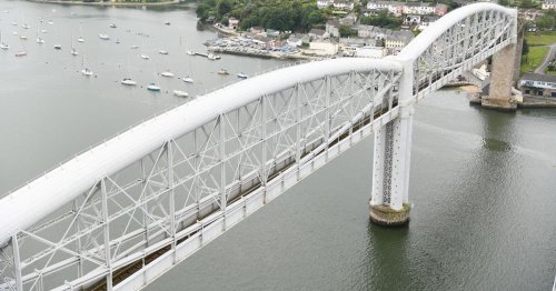 Critically Endangered rodent found in River Tamar after disappearing from Devon 1,000 years ago