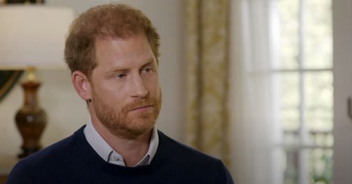 Prince Harry bought nephew Louis £8k Disney gift inspired by Diana