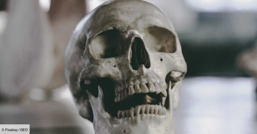 Une analyse de dents bouscule une théorie répandue sur l'origine des premiers Américains