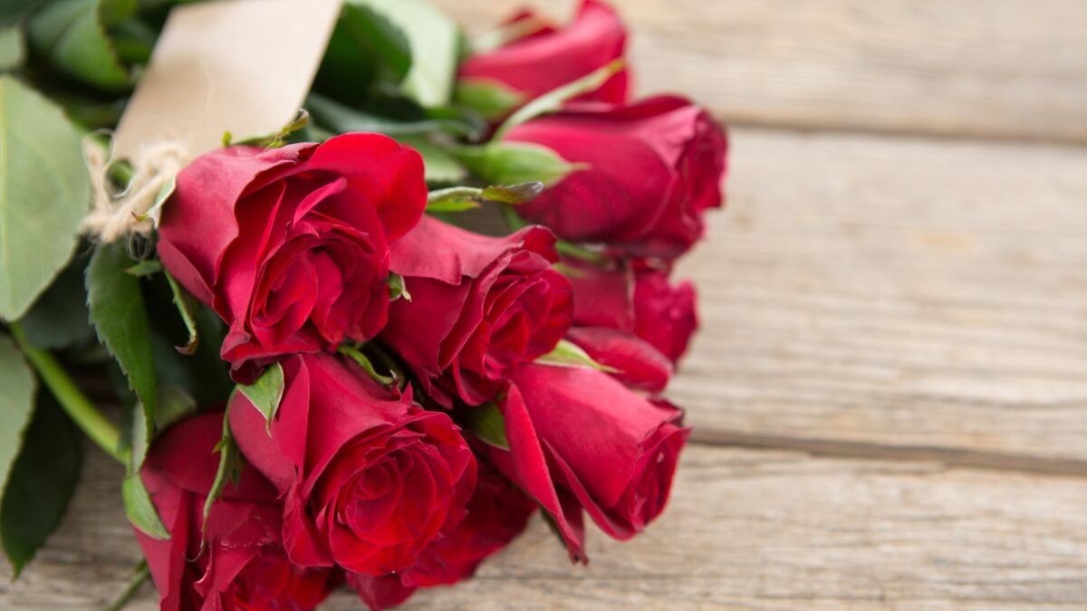 Découvrez ces fleurs à offrir absolument pour la Saint-Valentin !