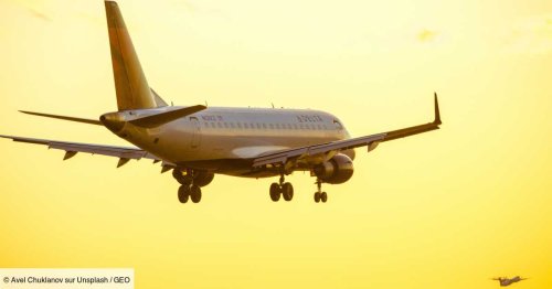"Neutre en carbone" : la publicité qui pourrait coûter très, très cher à Delta Airlines
