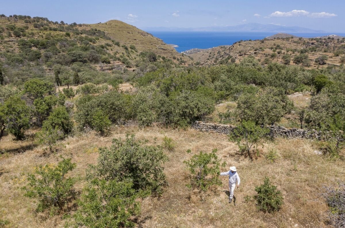 La Grèce, un jardin extraordinaire !