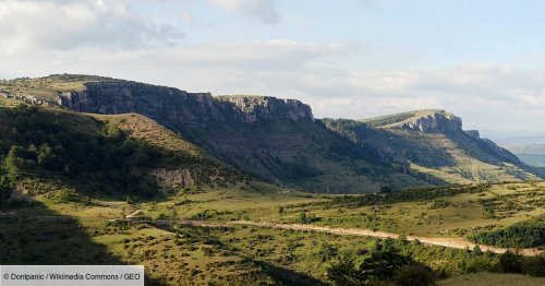En Lozère, deux sites paléontologiques révèlent un écosystème datant du Jurassique