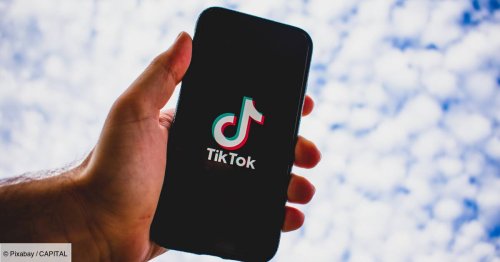 Comment une TikTokeuse a chamboulé des milliers d’études scientifiques en quelques secondes