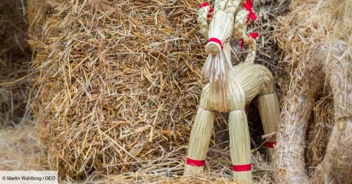 Loterie, sauna, piñata... Découvrez ces traditions de Noël insolites à travers le monde
