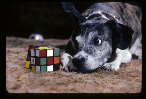 The Amazing Math Inside the Rubik’s Cube