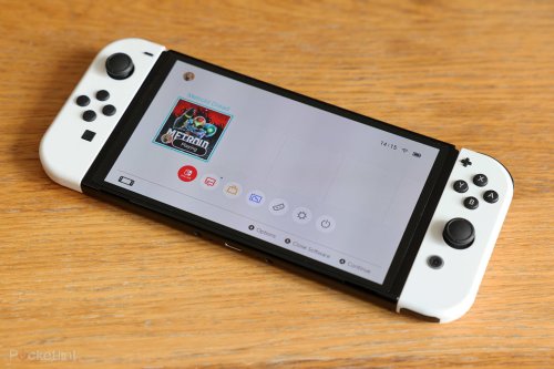 Nintendo has no plans for new Switch hardware... this year