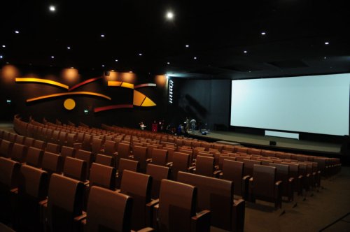 Congresso dá mais 1 ano para cinemas oferecer acessibilidade a deficientes
