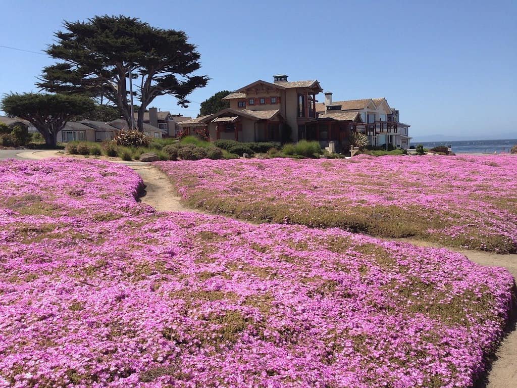 10 of the BEST Things to Do in Monterey CA