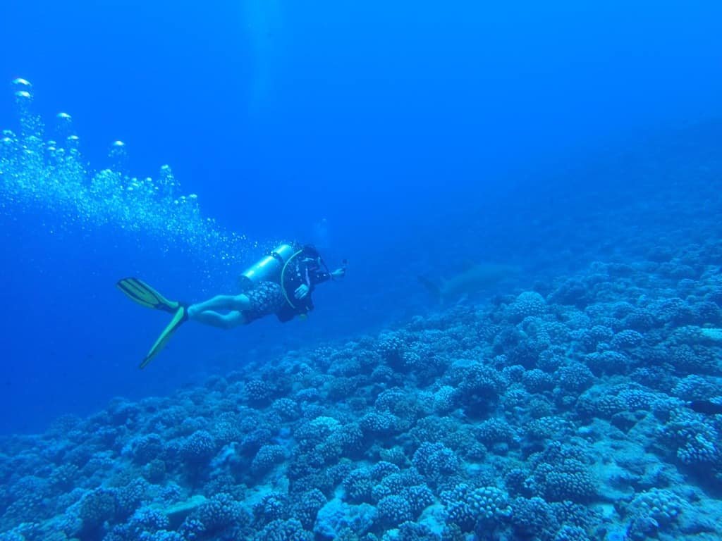 Scuba Diving in French Polynesia
