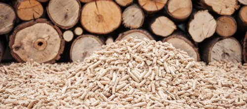 Trees to pellets? Scarred by two previous resource industry boom and busts, pivotal decisions lie ahead for community of Fort Nelson