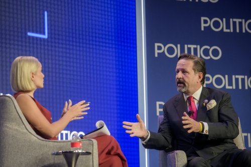 ‘So what?’: Gorka dismisses judge rulings on deportations