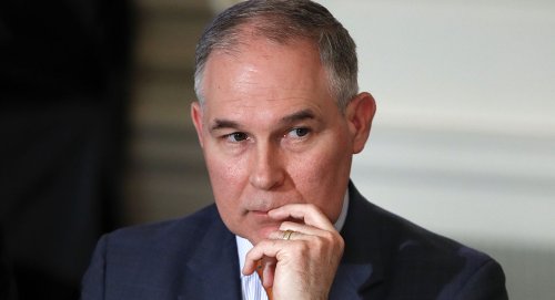 Pruitt huddled with coal exec who raised over $1M for Trump