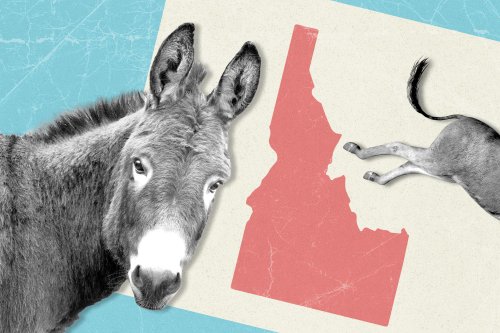 Combatting cannibalism and jailing librarians: Idaho Democrats see opportunity in extreme GOP agenda