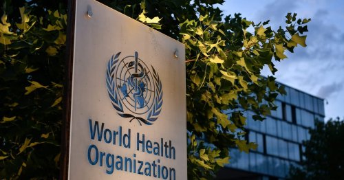 WHO calls for global audit of smallpox, monkeypox jabs