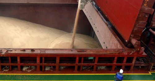 Ukraine in last-ditch appeal for EU to end grain import curbs