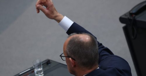 Here are the 5 wildest things about Germany’s new parliament