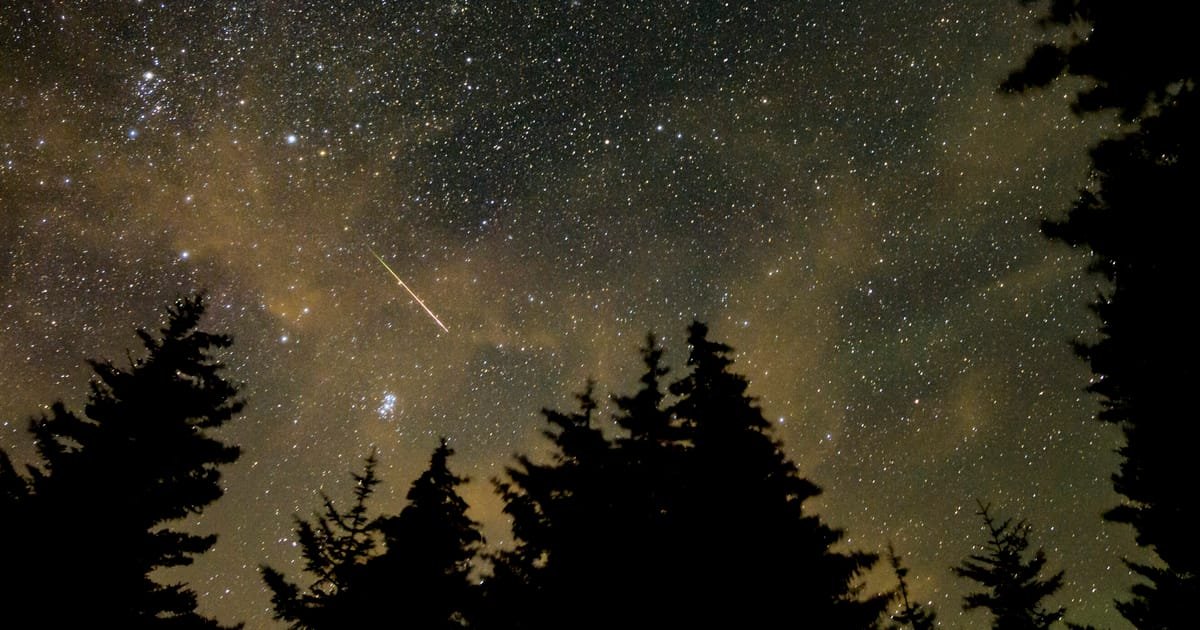 2024: What the stars have in store for world leaders