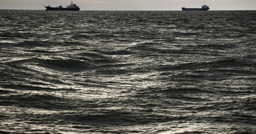 Ukraine asks Turkey to take ‘urgent measures’ over grain ship