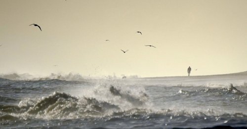 Brex on the beach: UK seaside revival gives hope to Leave voters