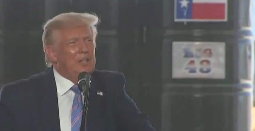 Trump Has A Texas Sized Meltdown And Says Democrats Will Get Rid Of Cows